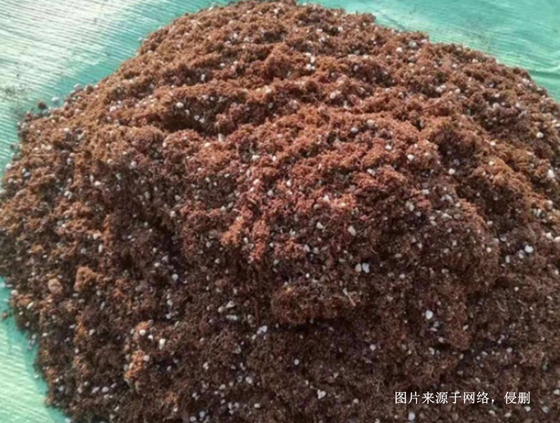 越南椰糠進口報關代理流程 越南椰糠進口報關代理流程